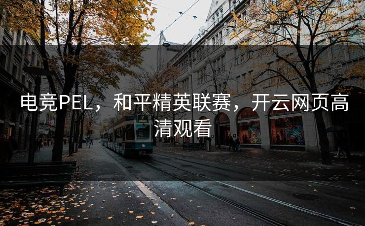 电竞PEL，和平精英联赛，开云网页高清观看